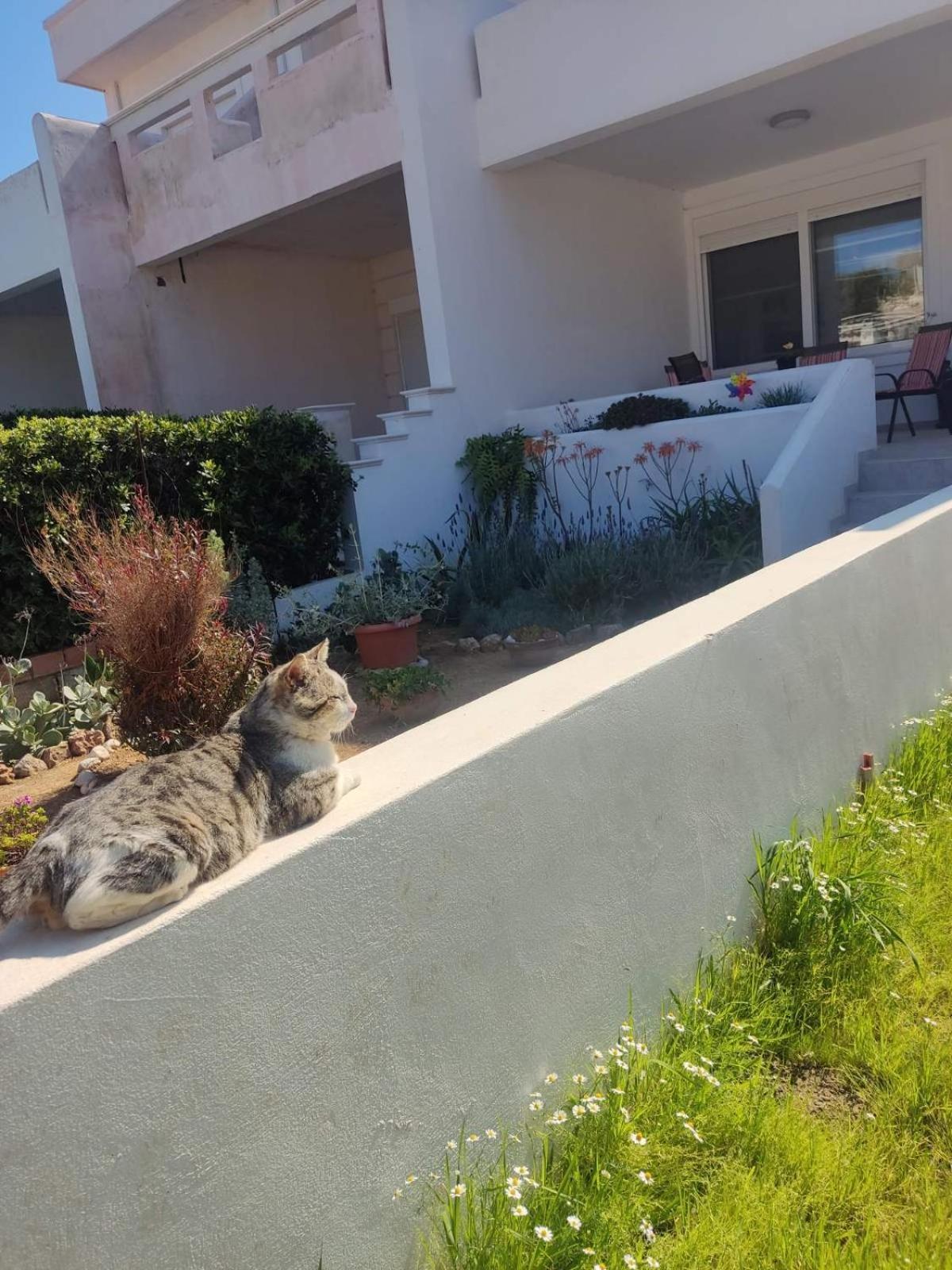 Katerina Summerhouse Dhaskalion Exterior foto