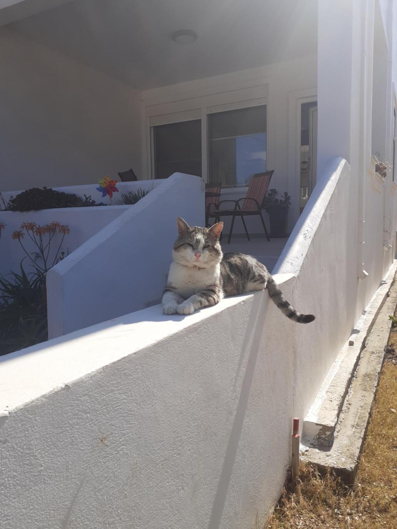 Katerina Summerhouse Dhaskalion Exterior foto